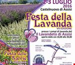 festa__della_lavanda_a_castelnuovo_di_assisi festa__della_lavanda_a_castelnuovo_di_assisi