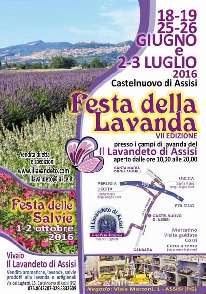 Festa della lavanda di Assisi 2016 Assisi