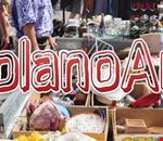 volano_art_al_lido_di_volano_fe volano_art_al_lido_di_volano_fe