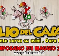 palio_del_casale palio_del_casale