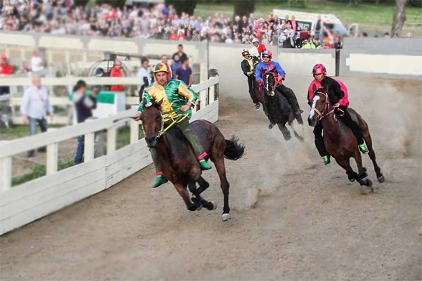 palio_sant_anselmo_e_sagra_del_biscotto_a