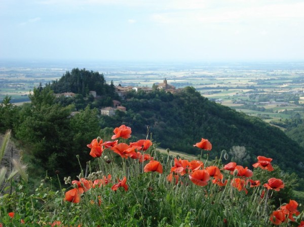 panorami