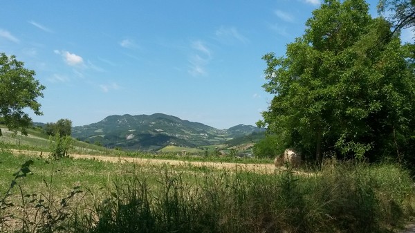 panorami