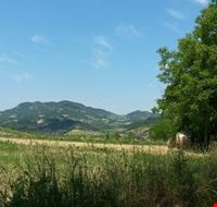 panorami panorami