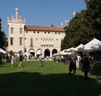 la_corte_nobile la_corte_nobile