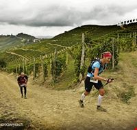 trail_del_moscato trail_del_moscato