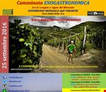 su_e_giu_per_i_sentieri_pavesiani_- su_e_giu_per_i_sentieri_pavesiani_-
