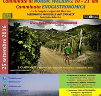 su_e_giu_per_i_sentieri_pavesiani_- su_e_giu_per_i_sentieri_pavesiani_-