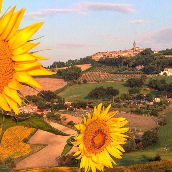 Motoraduno, tour tra borghi, arte, enogastronomia San Lorenzo in Campo