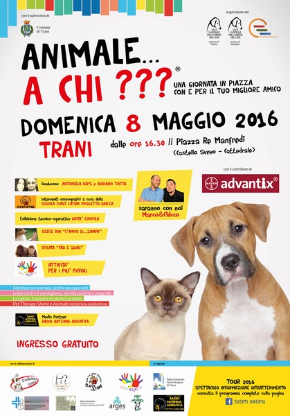 "animalea_chi"