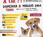 "animalea_chi" "animalea_chi"