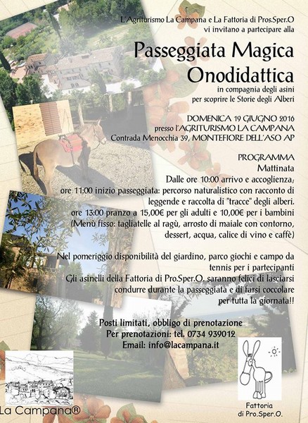 locandina_asinelli
