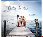 gatos_do_mar gatos_do_mar
