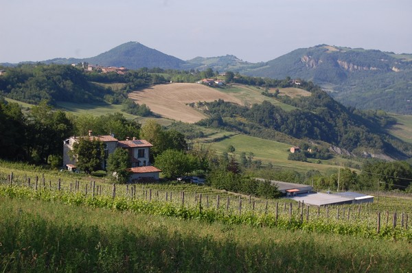 i_carpini