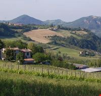 i_carpini i_carpini