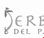 le_erbe_del_patriarcato le_erbe_del_patriarcato