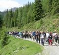 20°_pellegrinaggio_dal_comelico_a_maria_luggau