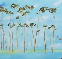 mostra_six mostra_six
