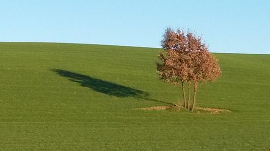 Passeggiando con Pellizza Casalnoceto