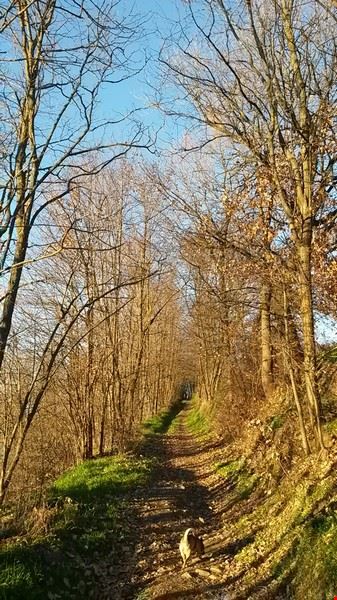 Passeggiando con Pellizza Casalnoceto