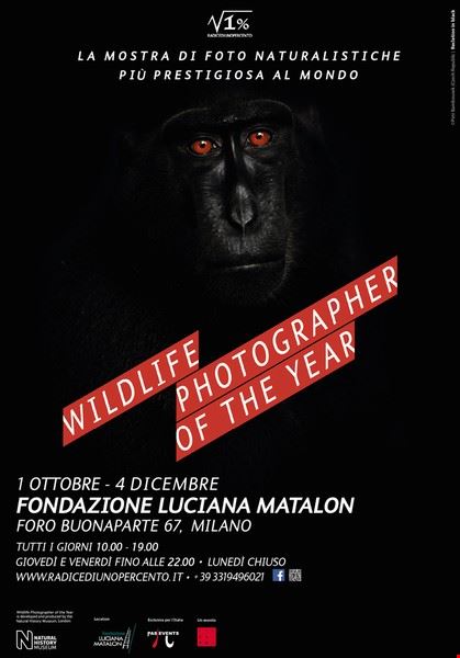 Wildlife Photographer of the Year 51 Milano
