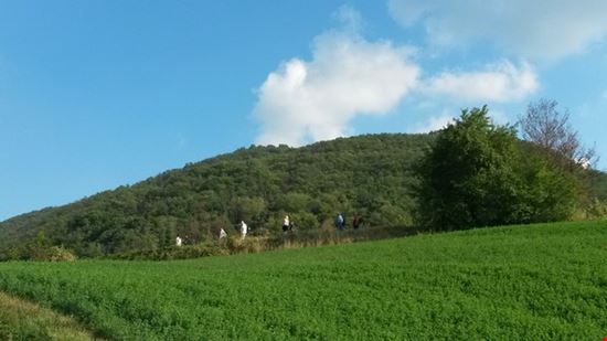 Camminata golosa d'autunno Ponte Nizza