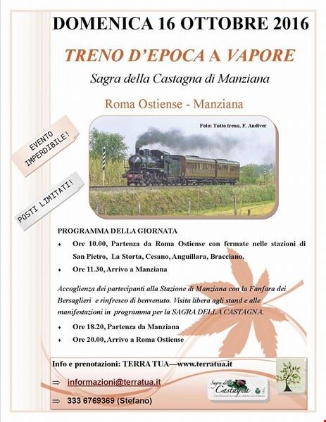 Sagra della castagna locale Manziana