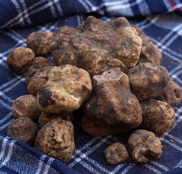 truffle