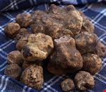 truffle truffle
