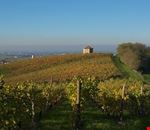 il_montelio_visto_dai_piedi_delle_colline il_montelio_visto_dai_piedi_delle_colline