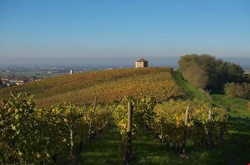 Vino e Storia sulle Colline del Sole Codevilla