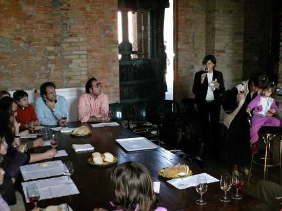 Vino e Storia sulle Colline del Sole Codevilla