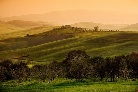 Terre Di Toscana Camaiore