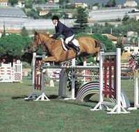 equitazione_sanremo equitazione_sanremo