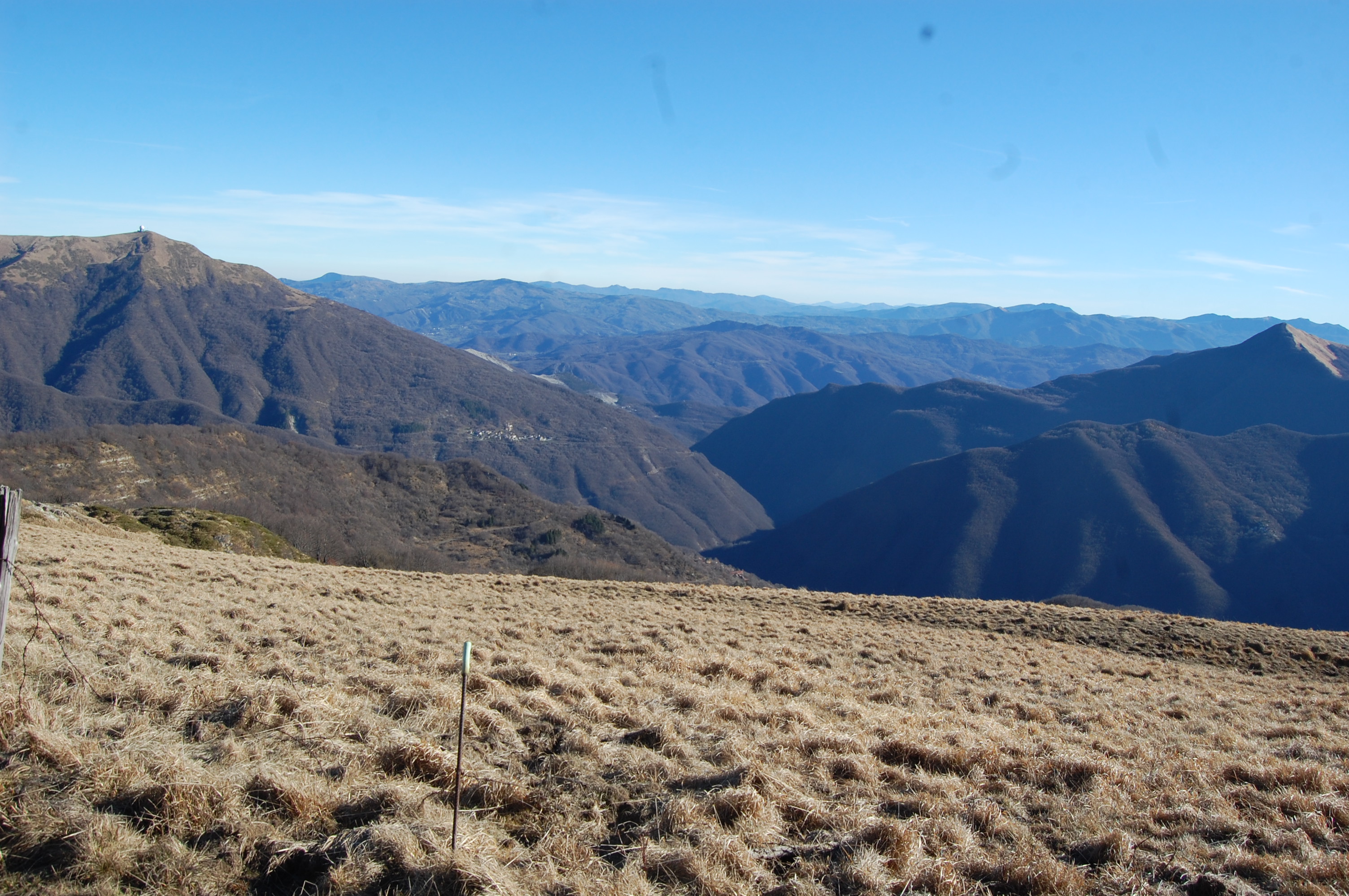 DSC_0317.JPG