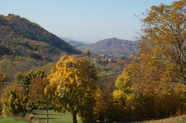 Paesaggio_autunnale_Poggioferrato.jpg