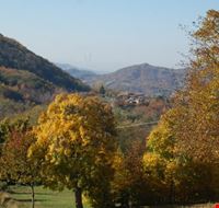 Paesaggio_autunnale_Poggioferrato.jpg Paesaggio_autunnale_Poggioferrato.jpg