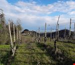 20170326_091105.jpg 20170326_091105.jpg
