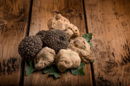 Fiera Nazionale del Tartufo Murisengo