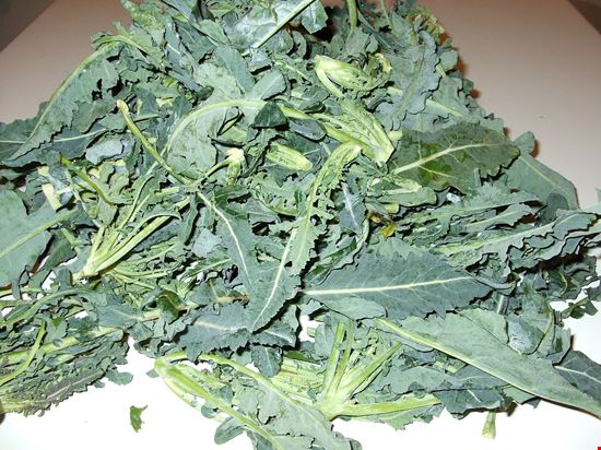 Sagra del Broccolo Fiolaro di Creazzo Creazzo