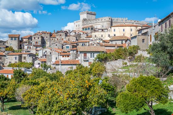 Sagra della Polenta e Festa di Sant'Antonio Abate Sermoneta