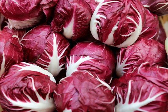 Mostra del Radicchio Rosso Zero Branco