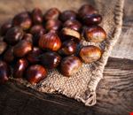 shutterstock_704213431.jpg shutterstock_704213431.jpg