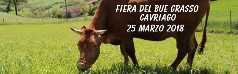 fiera_del_bue_grasso_2018_cavriago.jpg