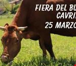 fiera_del_bue_grasso_2018_cavriago.jpg fiera_del_bue_grasso_2018_cavriago.jpg