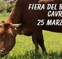 fiera_del_bue_grasso_2018_cavriago.jpg fiera_del_bue_grasso_2018_cavriago.jpg
