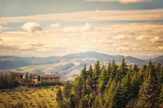 Sagra dell'Asparago Verde di Altedo Malalbergo