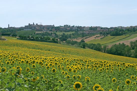 Borlotto day Filottrano