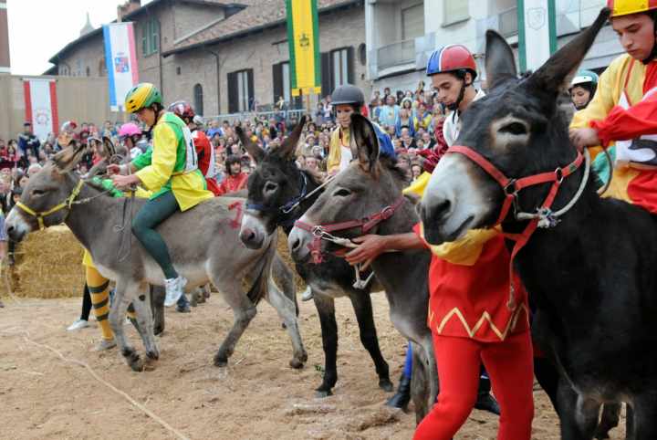 Palio_asini_Alba.jpg