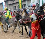 Palio_asini_Alba.jpg Palio_asini_Alba.jpg